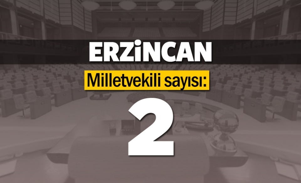 İşte il il milletvekili sayıları 25