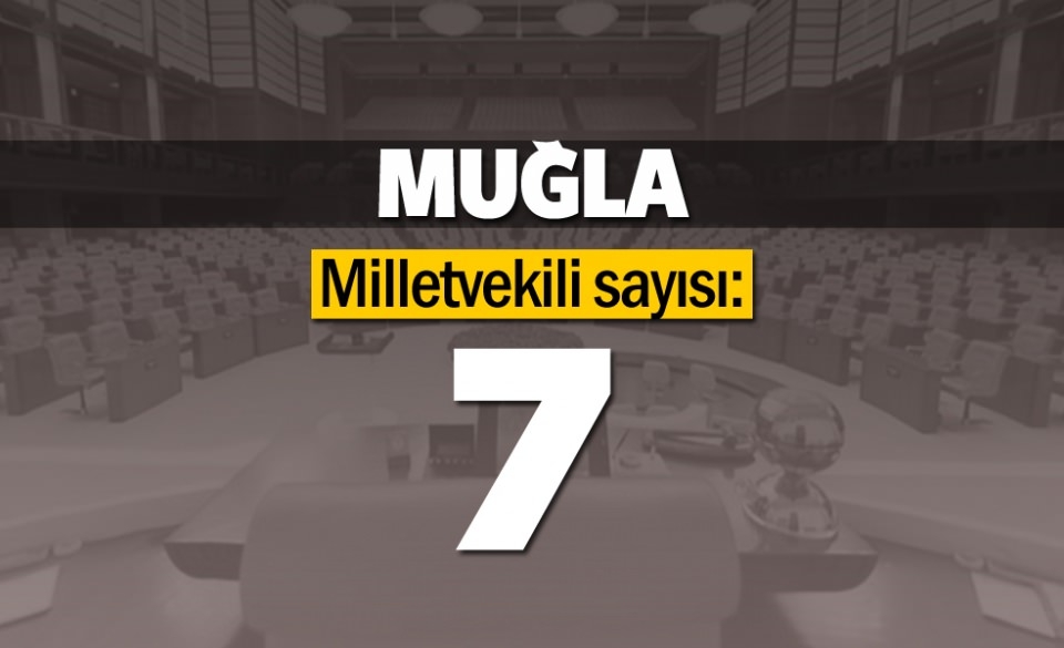İşte il il milletvekili sayıları 49