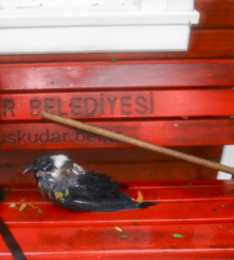 Sağanak İstanbul'u esir aldı 63