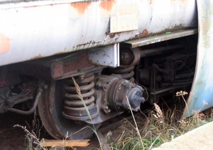 Film değil tamamen gerçek! 13