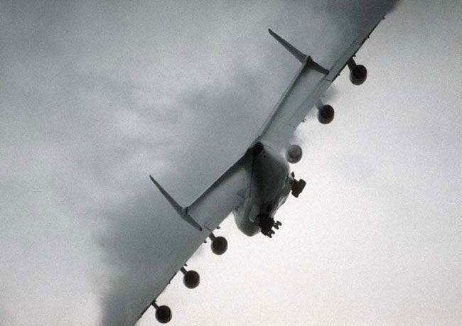 Film değil tamamen gerçek! 41