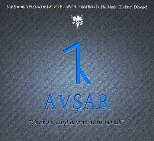 Hangi Türk boyundansınız? İşte cevabı 14