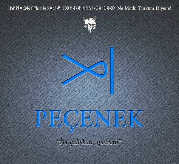 Hangi Türk boyundansınız? İşte cevabı 19