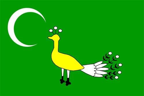 Hangi Türk boyundansınız? İşte cevabı 38