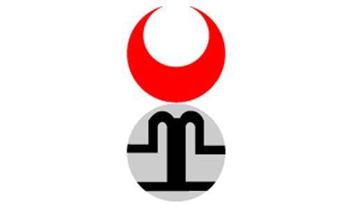 Hangi Türk boyundansınız? İşte cevabı 41