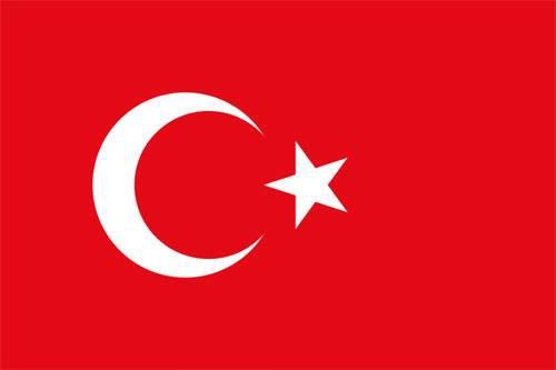 Hangi Türk boyundansınız? İşte cevabı 45