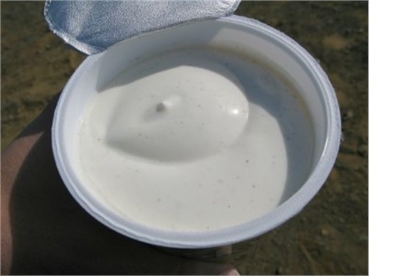 En sağlıklı yemekler hangi ülkelerde? 10