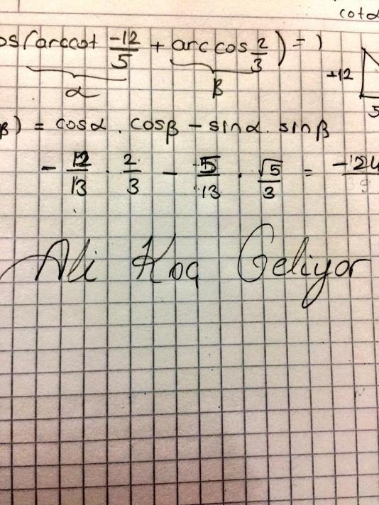 "Ali Koç geliyor" çılgınlığı sınırları zorluyor 15