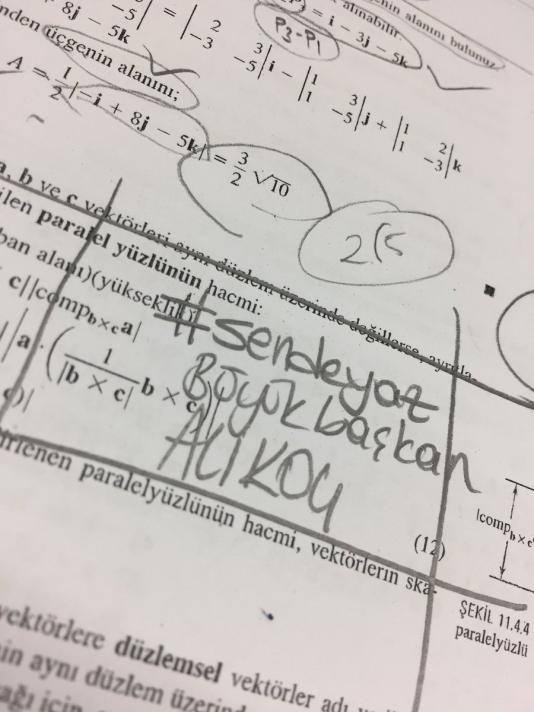 "Ali Koç geliyor" çılgınlığı sınırları zorluyor 19