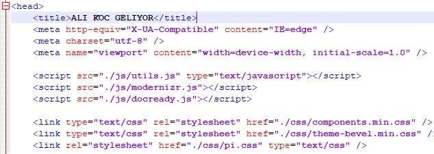 "Ali Koç geliyor" çılgınlığı sınırları zorluyor 5