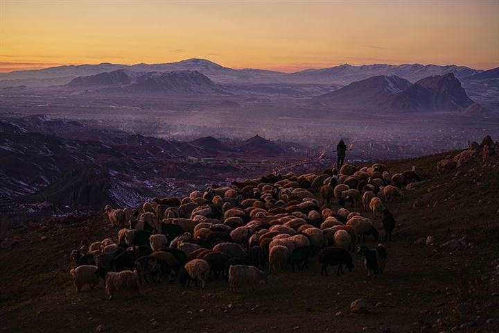 2018 Dünya Fotoğraf Yarışması'nın kazananları 13