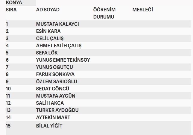 İşte MHP'nin milletvekilliği aday listesi 49