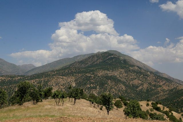 Kandil Dağı'ndan çarpıcı kareler geldi 11