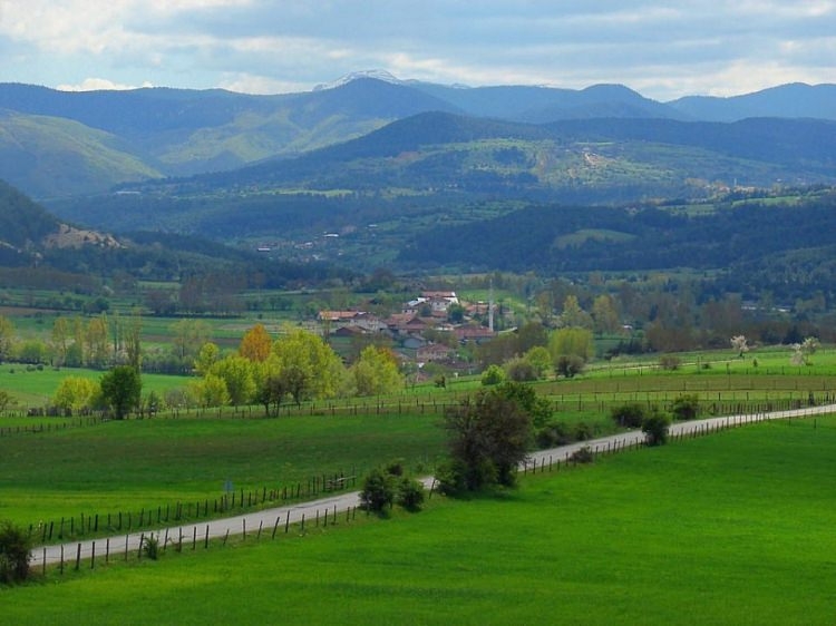 Hangi memleketten İstanbul'da kaç kişi var? 73