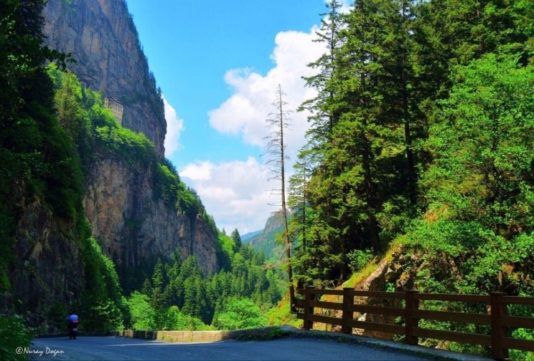 Hangi memleketten İstanbul'da kaç kişi var? 74