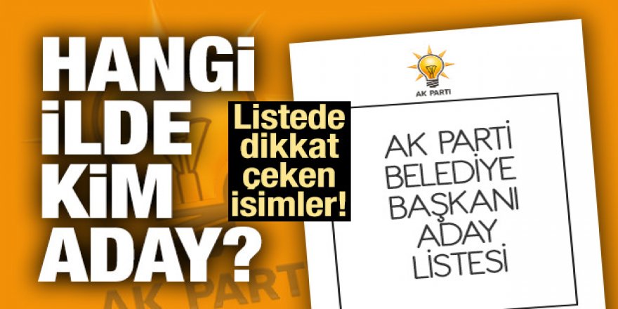 İşte AK Parti'nin il il aday listesi