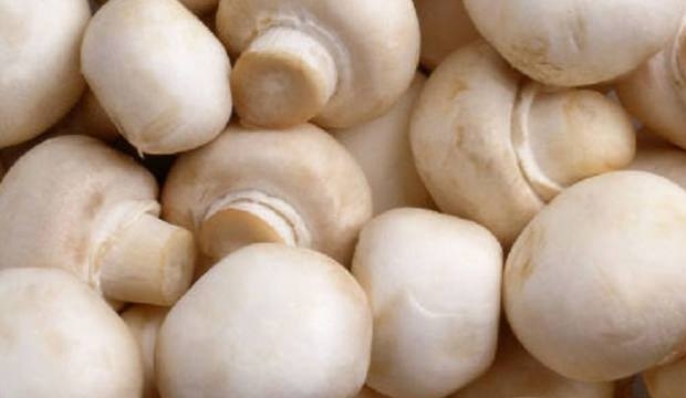 D vitamini eksikliğine iyi gelen besinler! 14