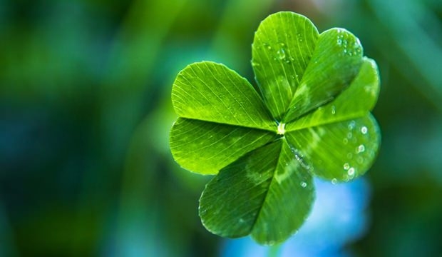 D vitamini eksikliğine iyi gelen besinler! 16