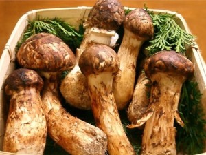 Dünyanın en pahalı yiyecekleri