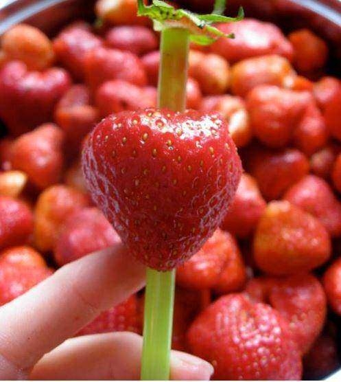 Bunları biliyor muydunuz? 17