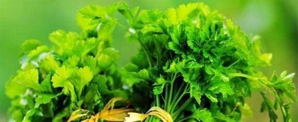 Bunları biliyor muydunuz? 47