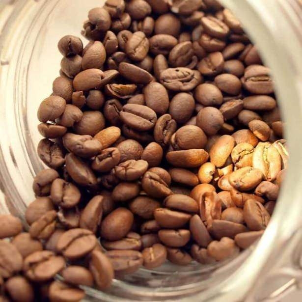 Bunları biliyor muydunuz? 52