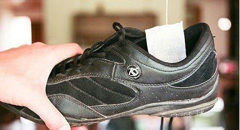 Bunları biliyor muydunuz? 68