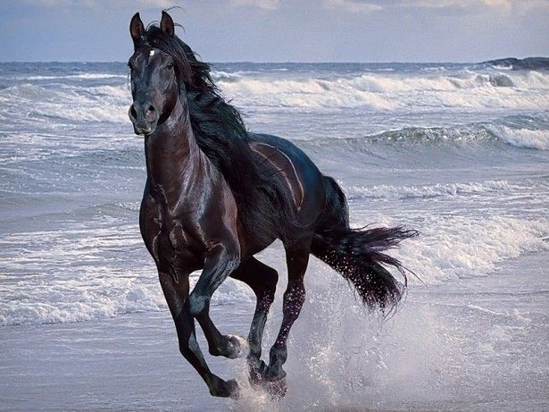 İşte o deyimlerin ilginç hikayeleri 13