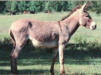 İşte o deyimlerin ilginç hikayeleri 16