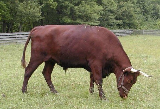 İşte o deyimlerin ilginç hikayeleri 30