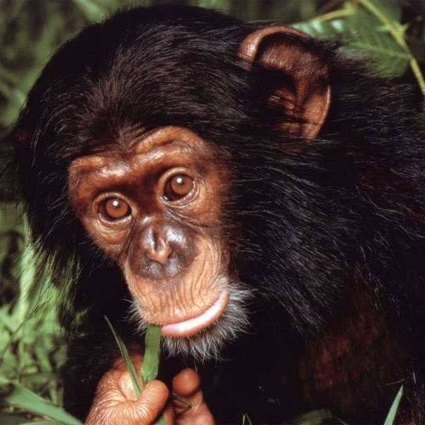 İşte o deyimlerin ilginç hikayeleri 31