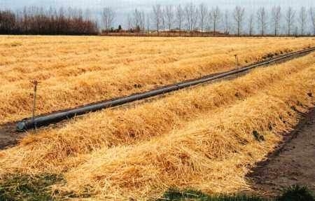 İşte o deyimlerin ilginç hikayeleri 34