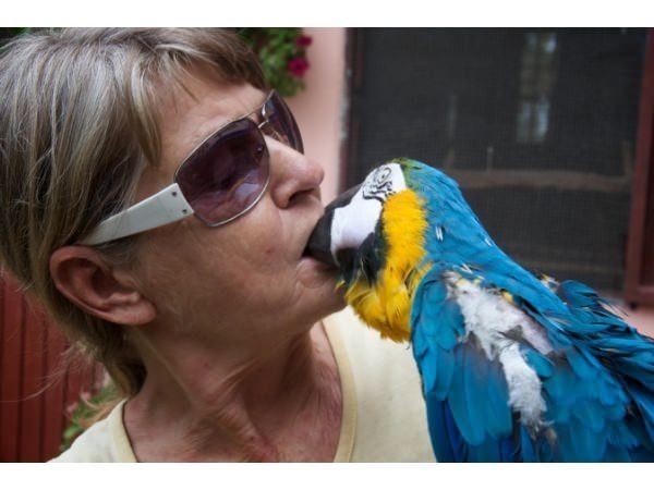 İşte o deyimlerin ilginç hikayeleri 8