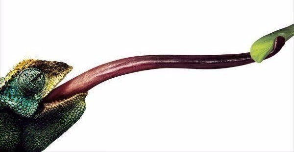 Dünyanın en ilginç ama gerçek bilgileri 34