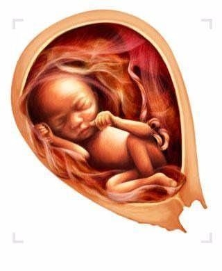 Dünyanın en ilginç ama gerçek bilgileri 39