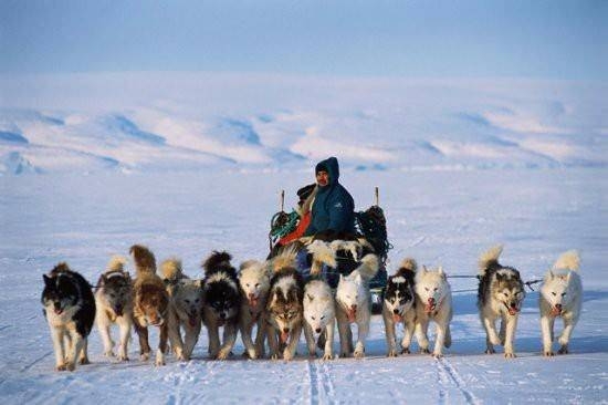Dünyanın en ilginç ama gerçek bilgileri 51