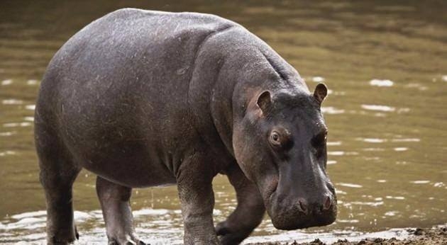 Dünyanın en ilginç ama gerçek bilgileri 68