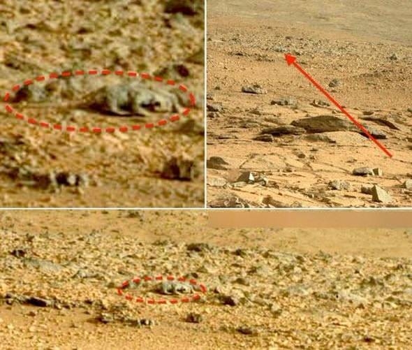 Mars'tan gelen görüntüler şaşkına çevirdi 19