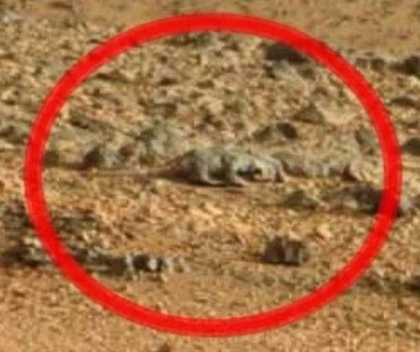 Mars'tan gelen görüntüler şaşkına çevirdi 20