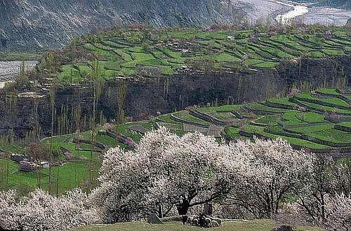 120 yıl yaşıyorlar! Bilim adamları bu Türkleri inceliyor 14