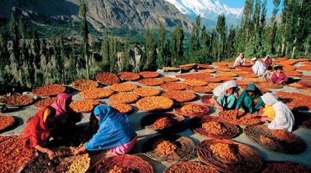 120 yıl yaşıyorlar! Bilim adamları bu Türkleri inceliyor 2