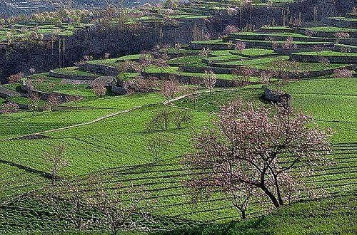 120 yıl yaşıyorlar! Bilim adamları bu Türkleri inceliyor 22