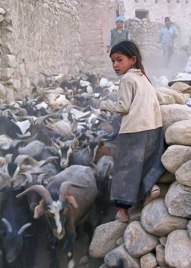 120 yıl yaşıyorlar! Bilim adamları bu Türkleri inceliyor 28