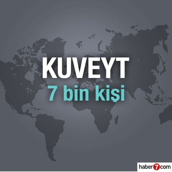 Hangi ülkede kaç Türk yaşıyor? 106
