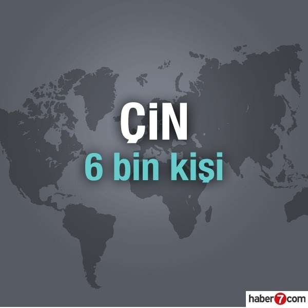 Hangi ülkede kaç Türk yaşıyor? 13