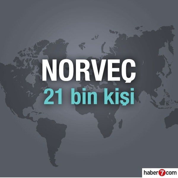 Hangi ülkede kaç Türk yaşıyor? 41