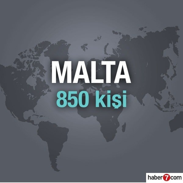 Hangi ülkede kaç Türk yaşıyor? 45