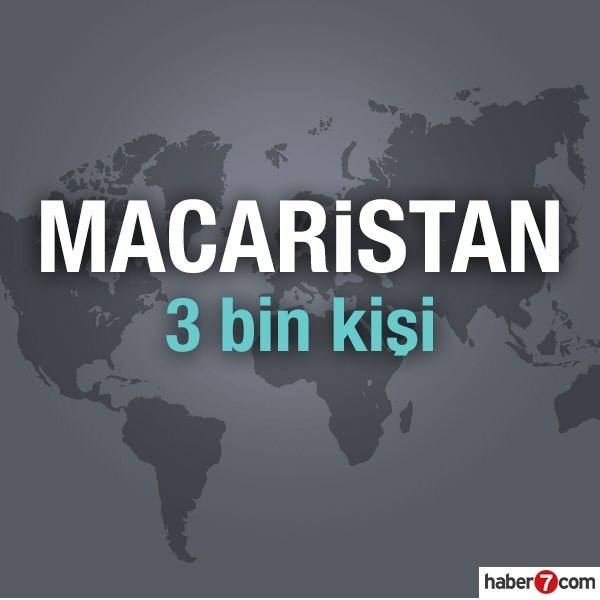 Hangi ülkede kaç Türk yaşıyor? 49