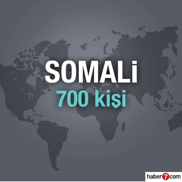 Hangi ülkede kaç Türk yaşıyor? 51