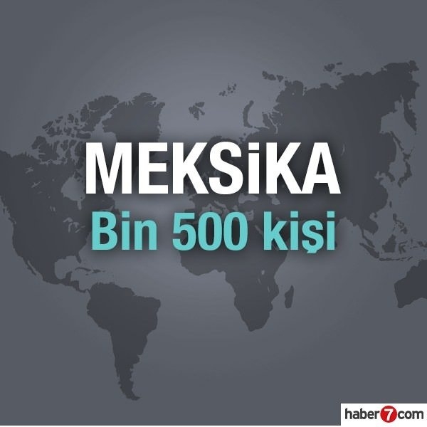 Hangi ülkede kaç Türk yaşıyor? 52